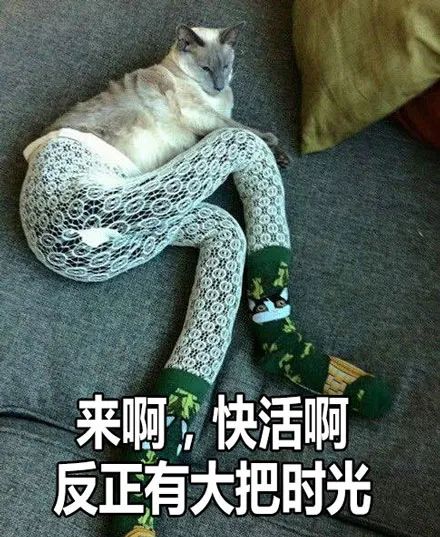 品牌|为啥同样是土味营销，巴黎世家被狂骂，老乡鸡却被捧出了圈？