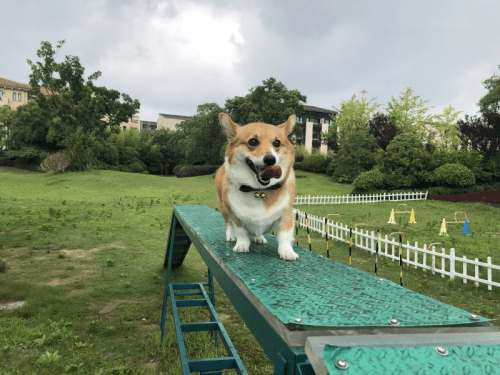 fe2da4c56ea44911bec39ea6df44bff6.png