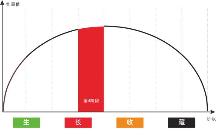 阶段|张杰彬：为什么李佳琦能够火这么久？