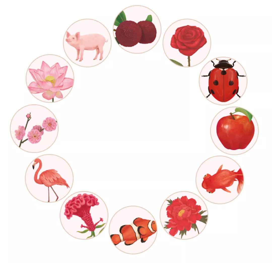 绘本|0~4岁绘本怎么挑？这套书给满分