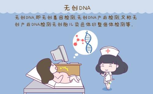 无创dna是检查什么的（无创dna是检查什么的需要空腹吗）-85模板网