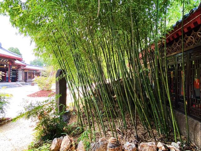 召公|“大象无形”、“甘棠遗爱”、”廉风垂范”、召公遗风 ——甘棠苑