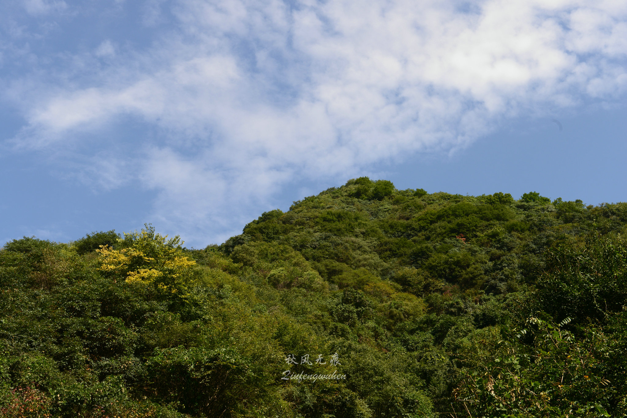 秦岭(|杜陵看山，秦岭望长安，抱龙峪里观云听秋风