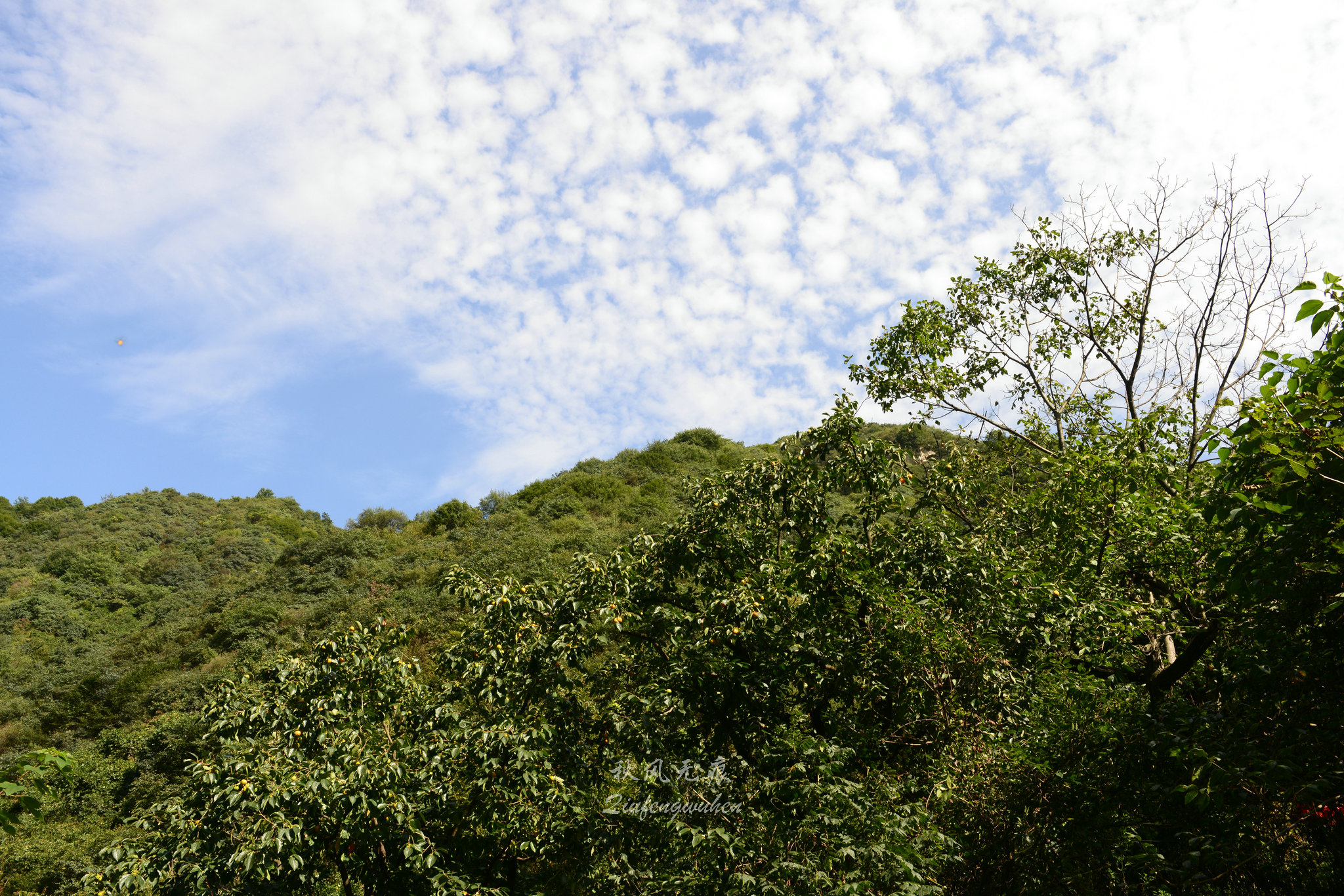 秦岭(|杜陵看山，秦岭望长安，抱龙峪里观云听秋风