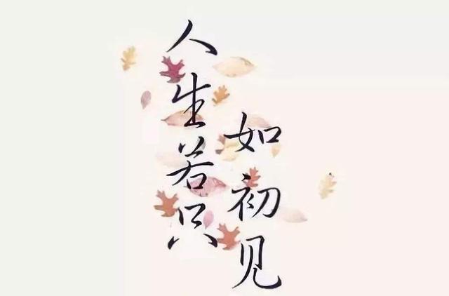984d3607fd7348df97fd72cbc6d9f678.jpeg