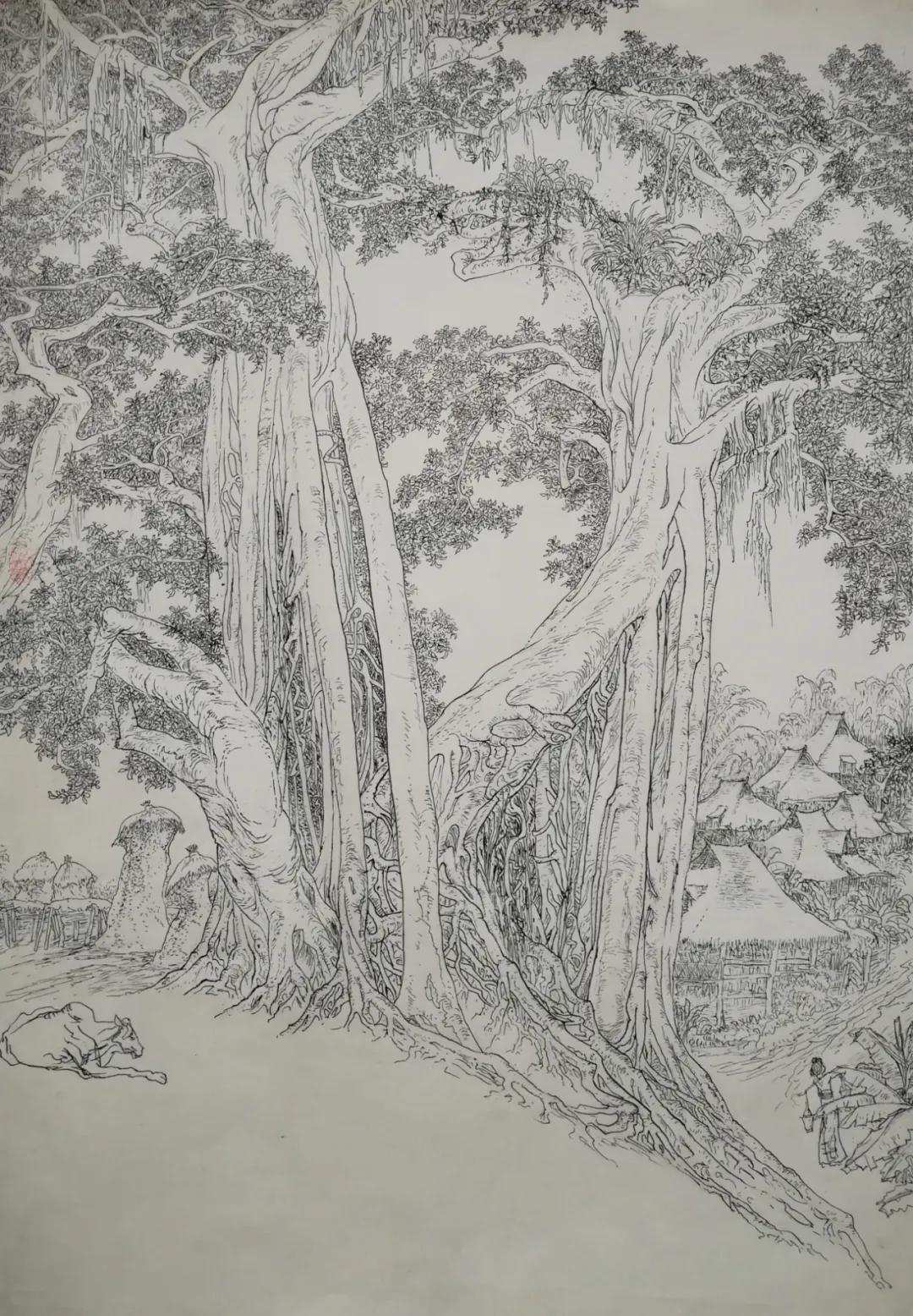 孟连中学大榕树 55×79cm 2016年 钢笔画