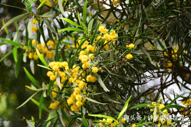 gdp台湾 知乎_知乎台湾地图(3)