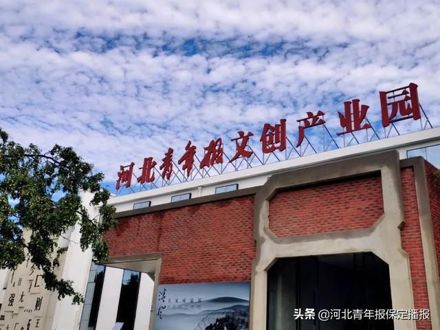 为市民选好茶,河北青年报文创产业园现面向社会征集白茶,园区计划采购