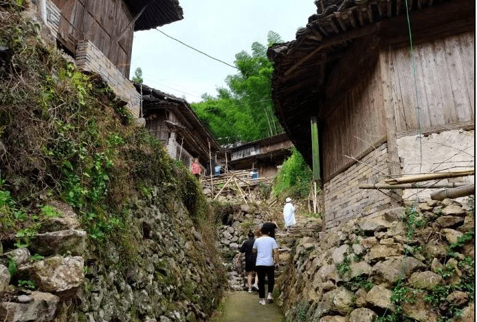 临海这座明朝古村,田园青青,竹海清新,是无数人的梦里