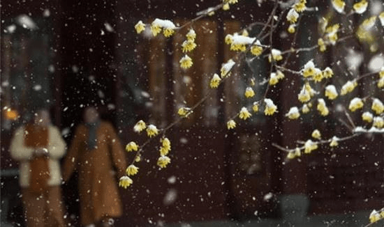 什么飞雪成语_漫天飞雪(3)