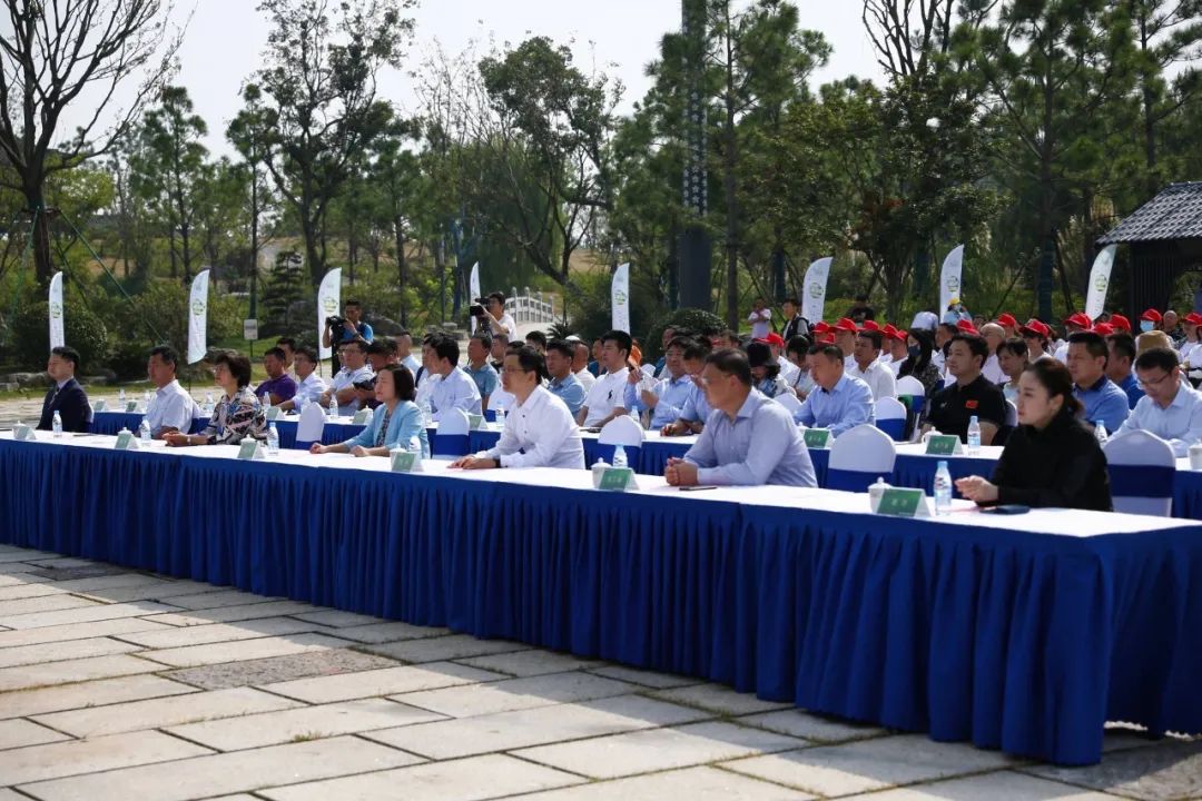 办徐翔副主任,市文化广电和旅游局局长袁国萍,市城投集团任连璋董事长