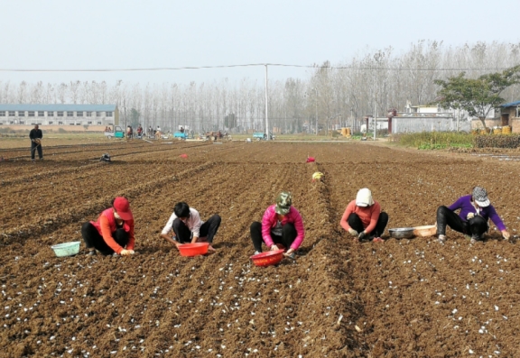 孩子|女性在备孕前就要知道4件事，别等生下再后悔避免胎儿畸形