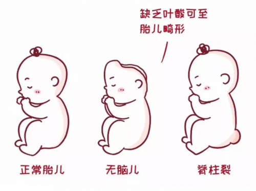 b0e5582f49724575879dadd62179d95b.png