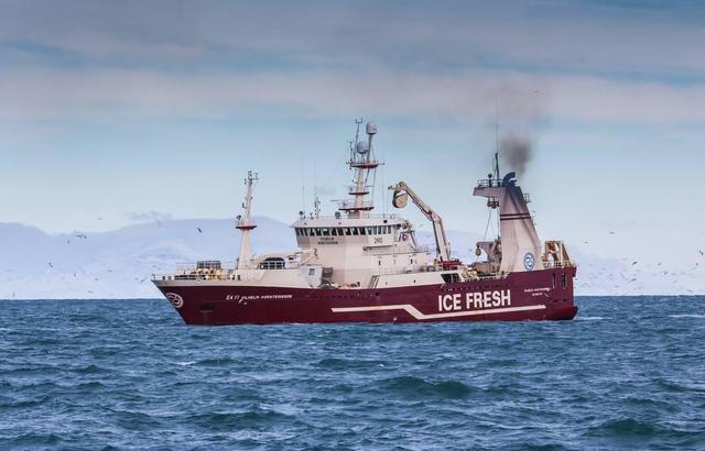 冰岛渔业占GDP_冰岛极光(2)