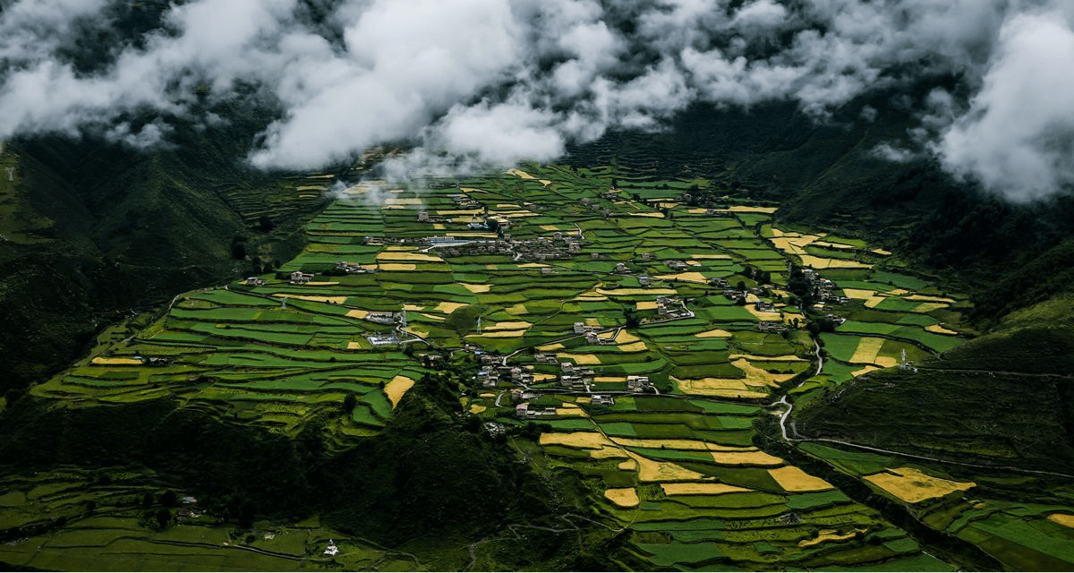 汶川人口结构_汶川地震(2)