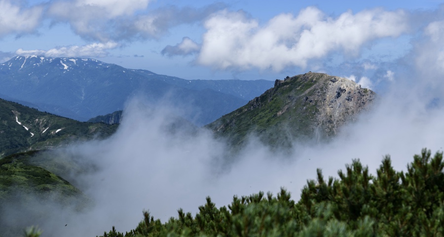 人人都能卖家电的时代真来了吗？-家电圈官网