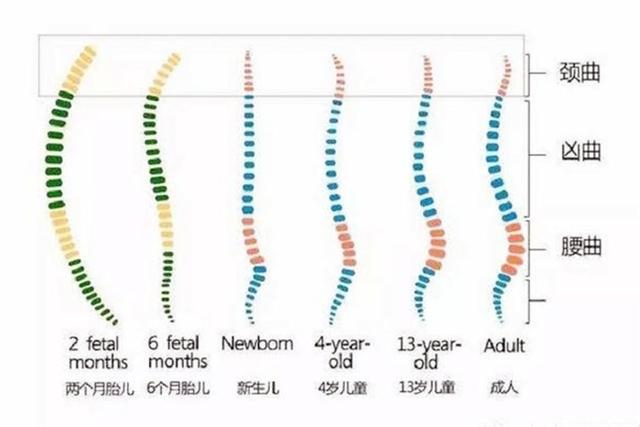 抱娃|小心伤了孩子脊柱，将来弯腰驼背体态差父母抱娃要注意