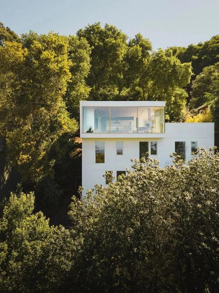 元素|这个时髦元素已经存在几十亿年了，你却不知道