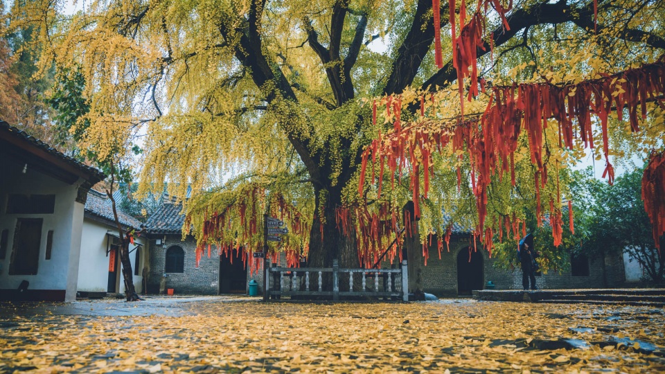 禅寺|江淮大地上的千年古刹，为何其他季节默默无闻，秋季游客络绎不绝