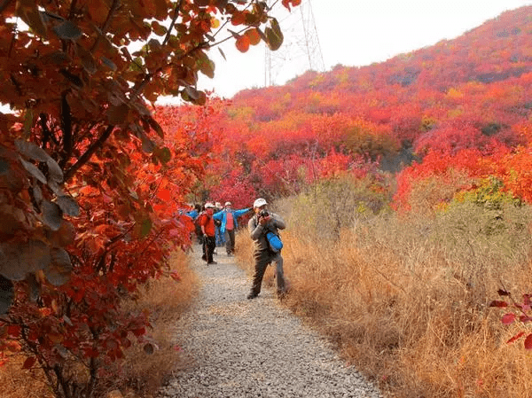秋日到北京顺义登浅山步道 ,欣赏不一样的多彩美景