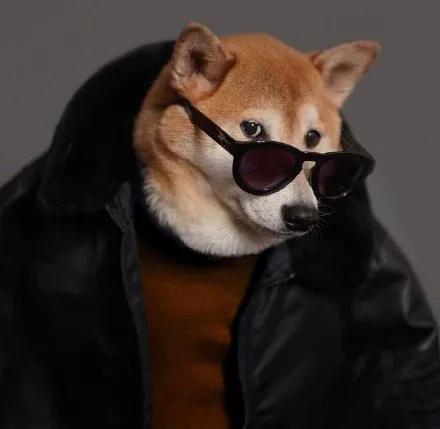52665d4400ea4381b81f1ec0b9ce3778.jpeg