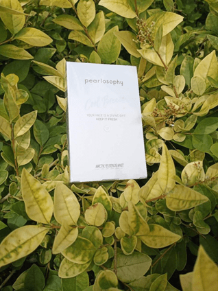 玫瑰花|真珠美学孙玉婷带你体验鲜活玫瑰花水面膜，让你的肌肤“喝饱水”