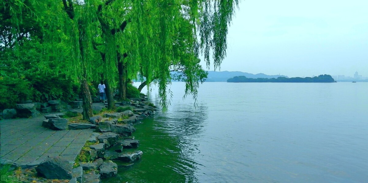 行政诉讼：对于一审行政赔偿判决不服，及时上