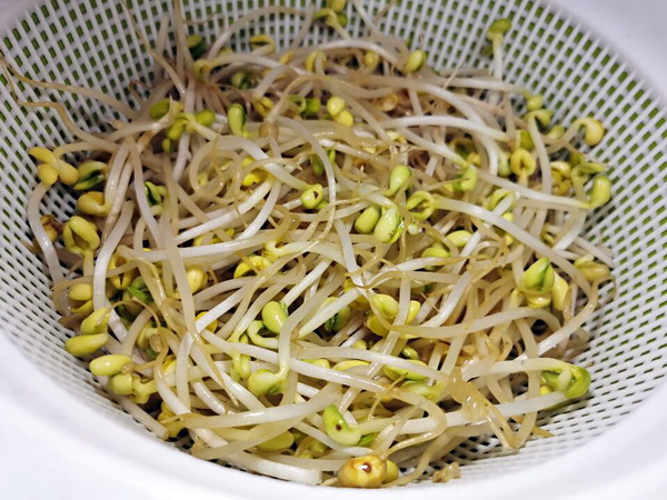 如何炒豆芽和粉条 6130fd595fe44ea098ce5cecd66e2435.jpeg