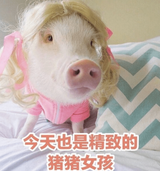 6d30aa2743b5490faae72c310743f9d7.png