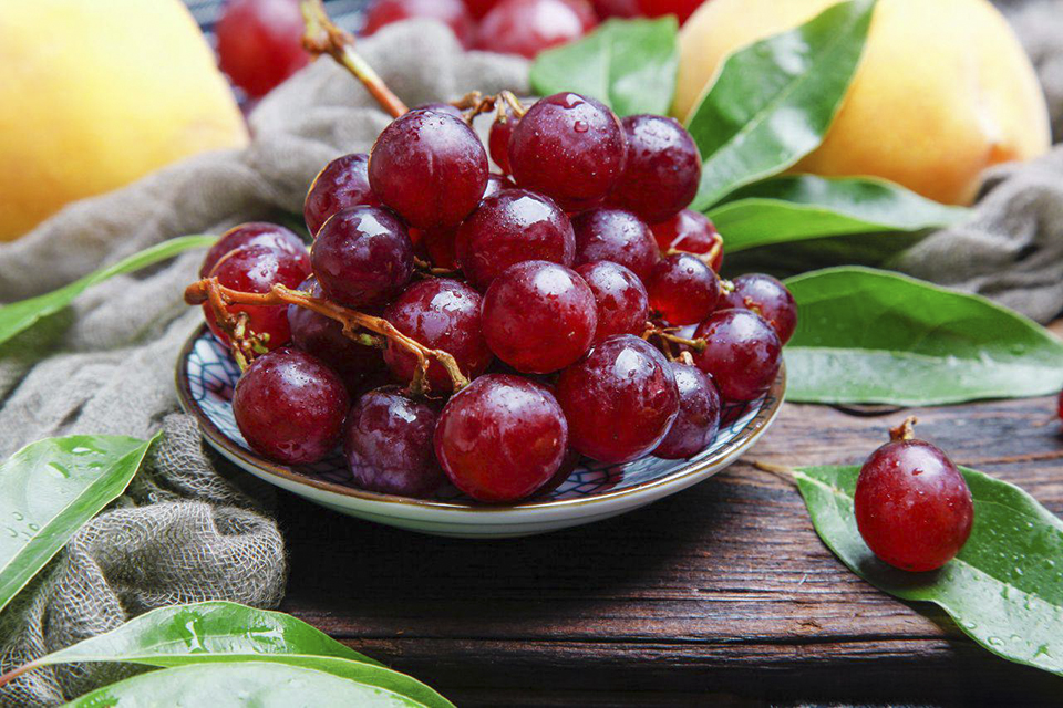 做法|何不自酿葡萄酒品味，做法详细教你，美味极了葡萄丰收的季节