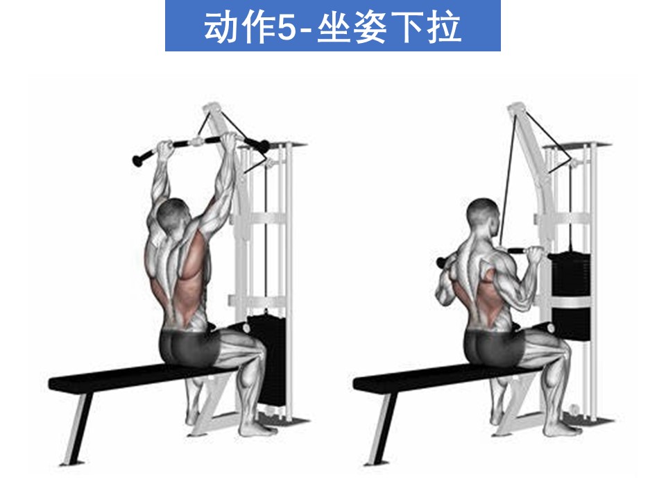 引体向上3阶段训练,只要训练量足够,想不当高手都难!