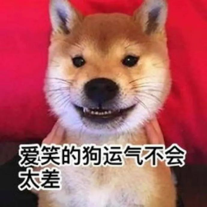 bdbc0dd55e5f44bc81b05c582adaa87f.jpeg