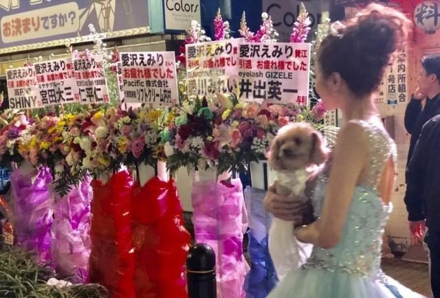 Baby|日本第一女公关转行当模特！隐退式狂捞上千万，长相神似Baby
