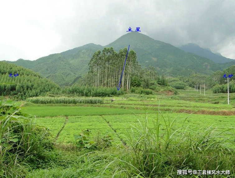 南龙少祖风水宝地,风水大师广西寻龙现场实拍