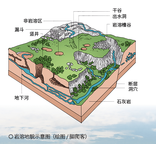 森林|没有条件，创造条件，这片森林竟然是从石头缝里挤出来的？