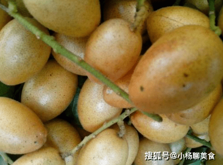 黄皮是几月份吃 7ebbe674726c4c6c8ac2d76c6685599f.png