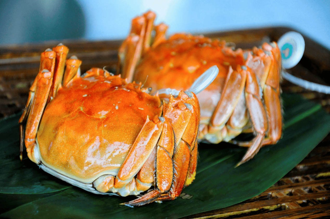 大闸蟹 大螃蟹 美食食品拍摄 商业摄影 大潘摄影|摄影|产品摄影|金光高照 - 原创作品 - 站酷 (ZCOOL)
