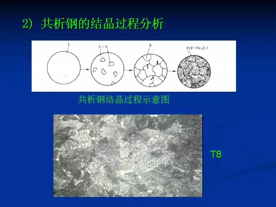 铁碳合金相图铁碳合金平衡组织观察