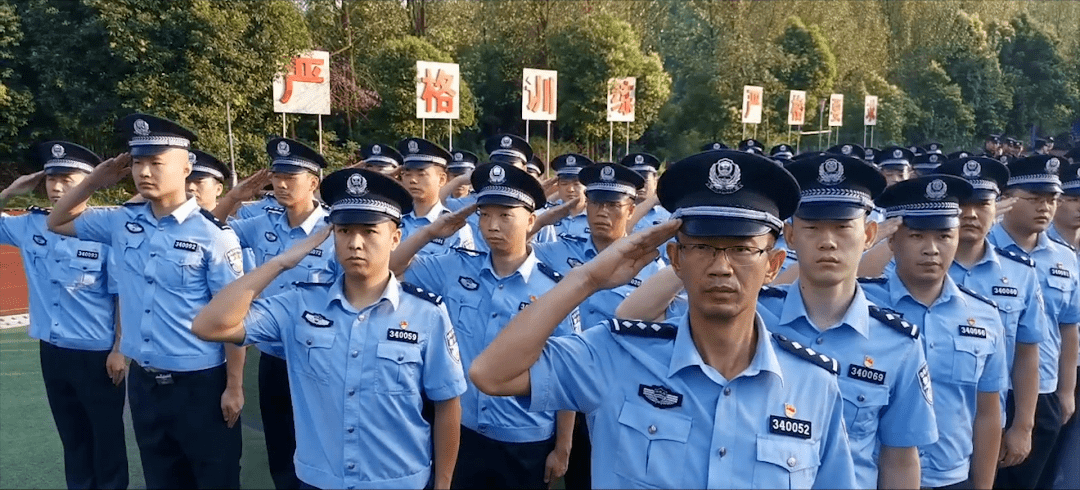 忠什么担成语_忠犬八公是什么狗