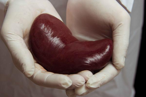 先知|肾脏病变，小便先知？小便时出现三种迹象，当心尿毒症正在靠近