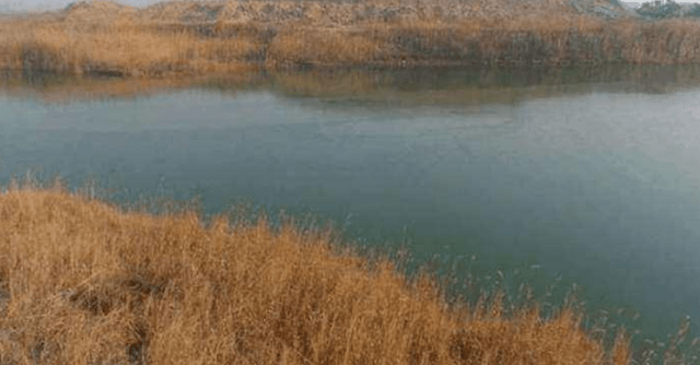 海兴县gdp_海兴县交通局图片(2)