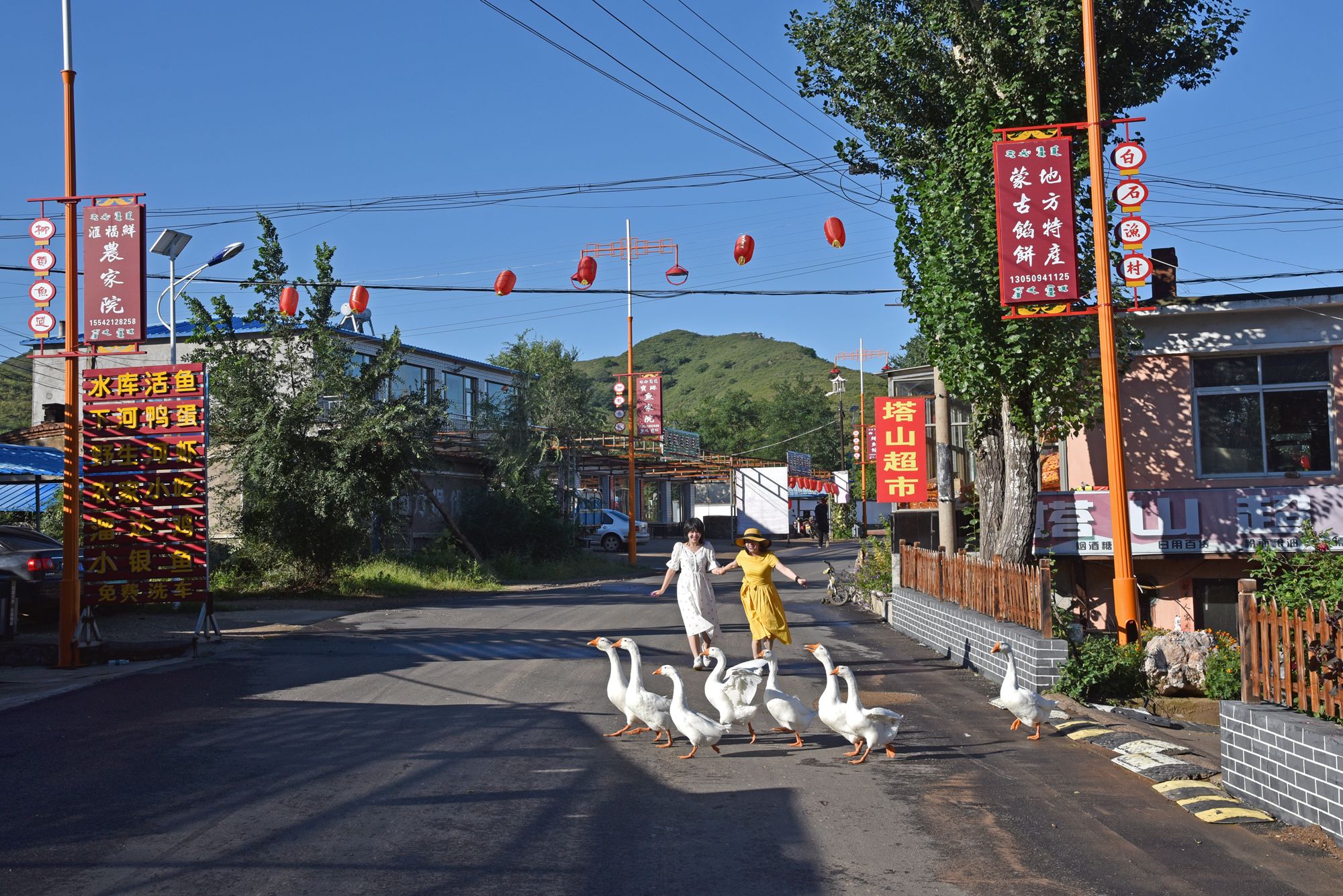 原创辽宁乡村旅游新去处北票上园大枣节历史文化美食之旅