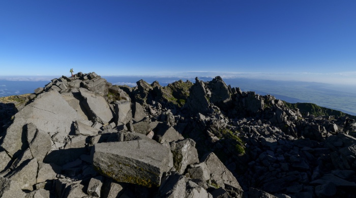 行业“带头大哥”LG突然召回,OLED电视为何围城效应难破?-家电圈官网