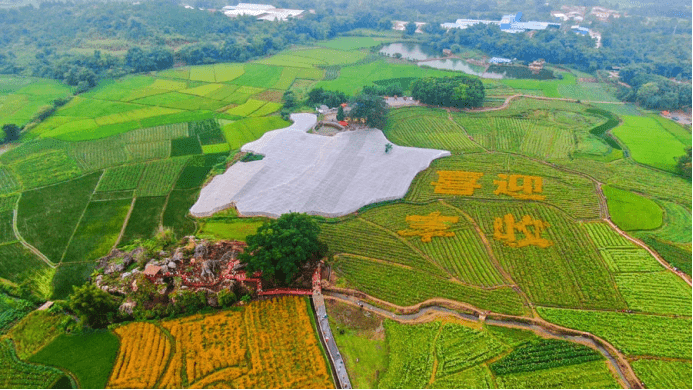 2020武江区GDP_韶关市武江区地图(2)