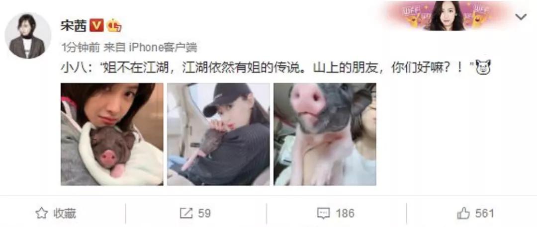 李沁|原创李沁杨洋复合了?那乔欣怎么办啊?