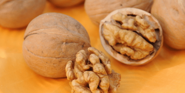 坚果是什么时候成熟 9ba14d2f3fd34f5c9bfef9ac7e41607d.png