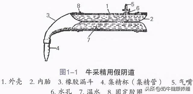 牧场奶牛人工授精技术