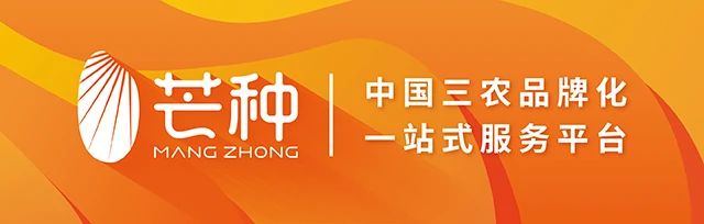 新会陈皮产区排名_新会陈皮|千亩柑源产区开放预售