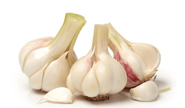 啥时候种大蒜最好呢 562e1dfc2e8549f5a5ed66cc3040dfad.png