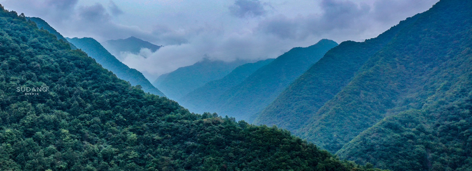 秦岭|秦岭为何被尊为“中华龙脉”：走进世界最大植物园，大自然之敬畏